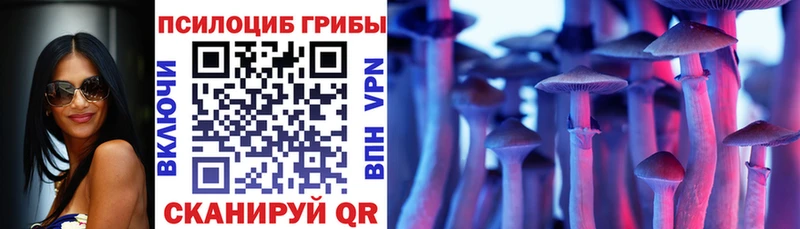 Псилоцибиновые грибы Psilocybine cubensis  Горнозаводск 